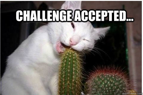 Challenge accepted... - Challenge accepted...  Misc