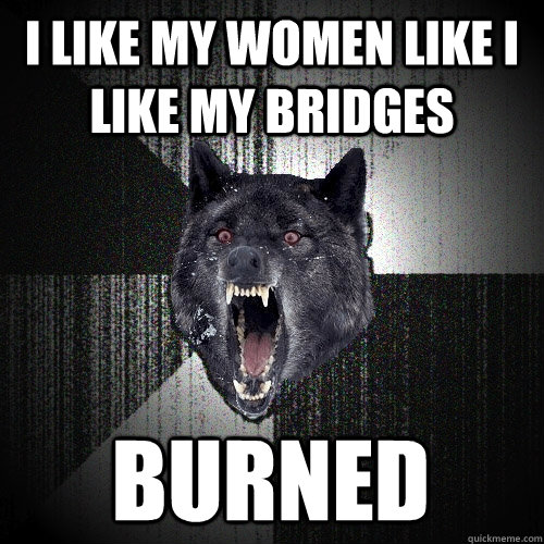 i like my women like i like my bridges burned  Insanity Wolf