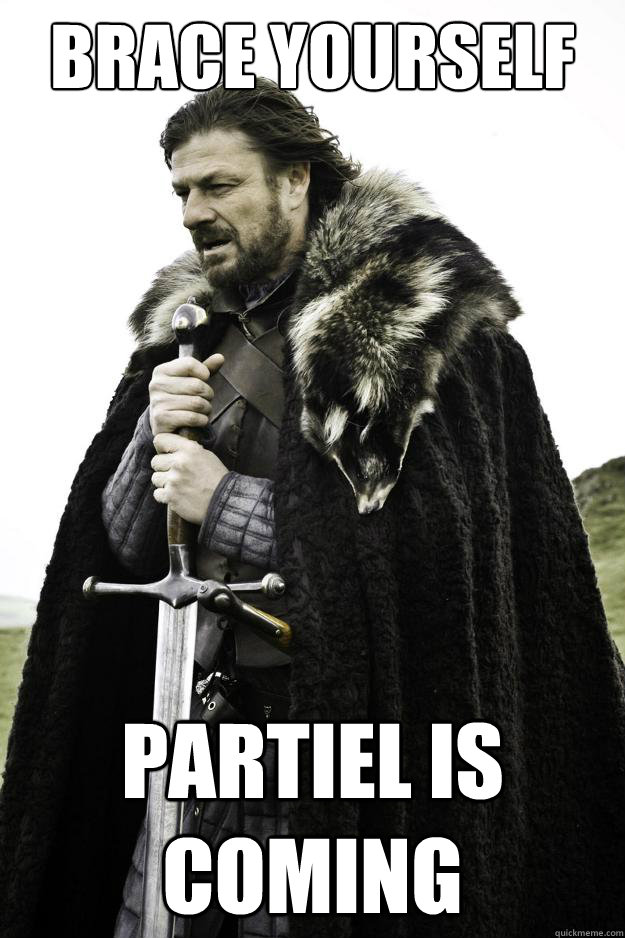 Brace yourself Partiel is coming - Brace yourself Partiel is coming  Winter is coming