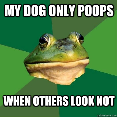 My dog only poops When others look not - My dog only poops When others look not  Foul Bachelor Frog