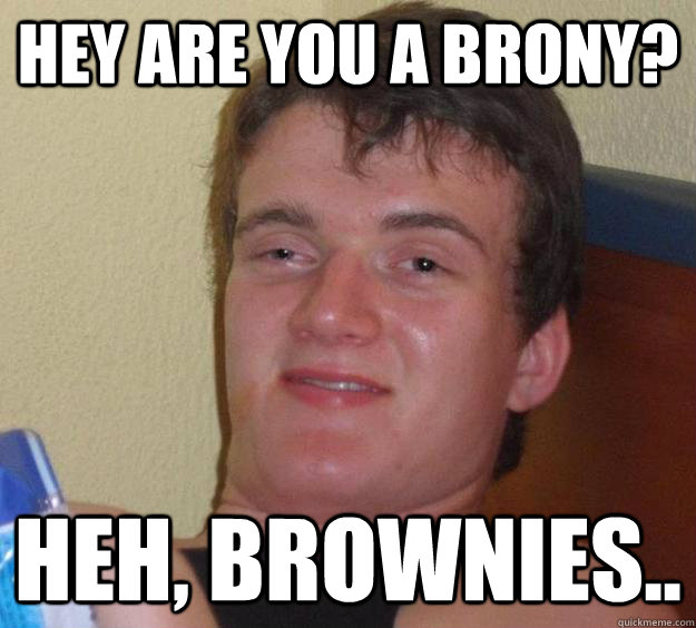 hey are you a brony? heh, brownies..  10 Guy