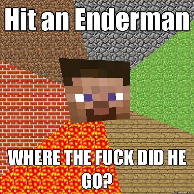 Hit an Enderman WHERE THE FUCK DID HE GO?  Minecraft