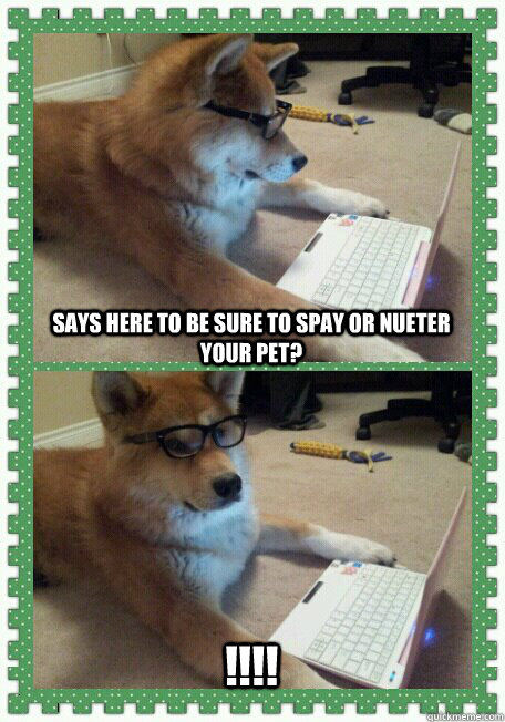 says here to be sure to spay or nueter your pet? !!!!  hello