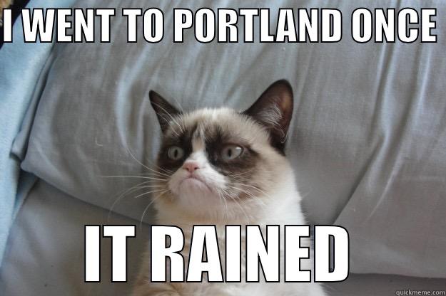 timbers soccer sucsk - I WENT TO PORTLAND ONCE  IT RAINED Grumpy Cat