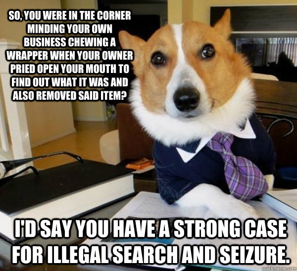 So, you were in the corner minding your own business chewing a wrapper when your owner pried open your mouth to find out what it was and also removed said item? I'd say you have a strong case for illegal search and seizure.  Lawyer Dog