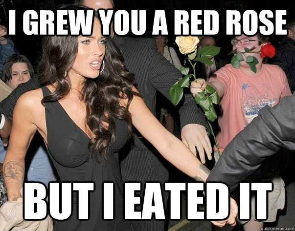 I grew you a red rose But I eated it  Out of his legue guy