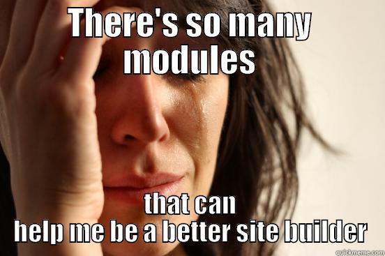 THERE'S SO MANY MODULES THAT CAN HELP ME BE A BETTER SITE BUILDER First World Problems