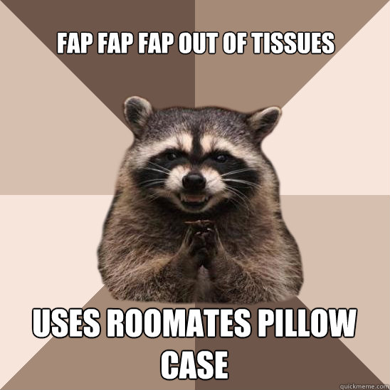 Fap Fap Fap out of tissues Uses roomates pillow case - Fap Fap Fap out of tissues Uses roomates pillow case  Evil Plotting Raccoon