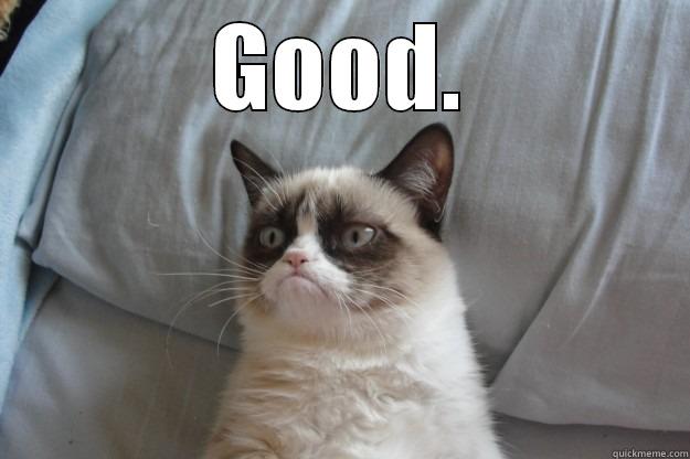 Grumpy Cat Approving :) - GOOD.  Grumpy Cat