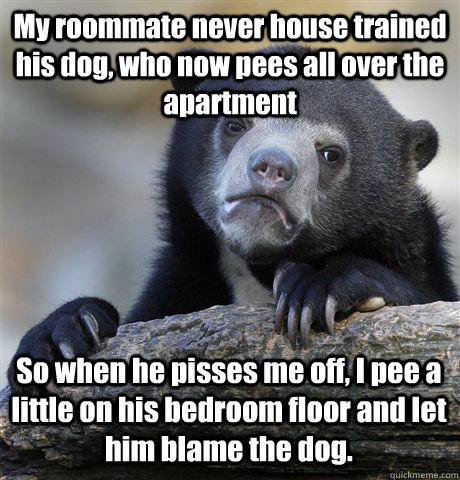 My roommate never house trained his dog, who now pees all over the apartment So when he pisses me off, I pee a little on his bedroom floor and let him blame the dog. - My roommate never house trained his dog, who now pees all over the apartment So when he pisses me off, I pee a little on his bedroom floor and let him blame the dog.  Confession Bear