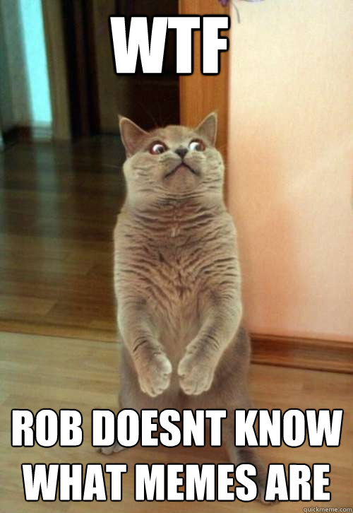 WTF Rob doesnt know what memes are  Horrorcat