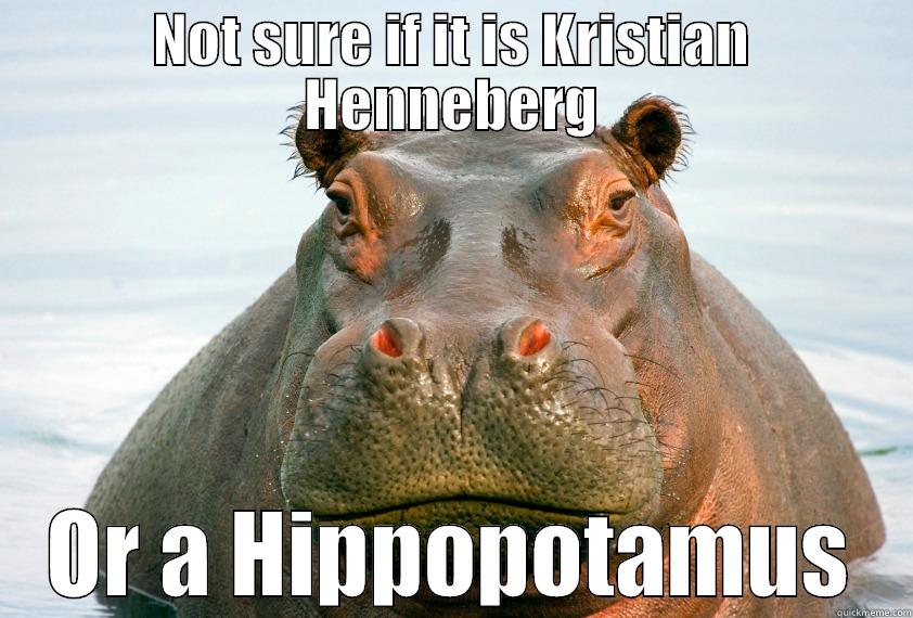 NOT SURE IF IT IS KRISTIAN HENNEBERG OR A HIPPOPOTAMUS Misc