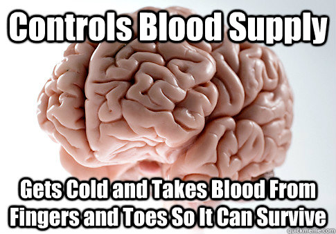 Controls Blood Supply Gets Cold and Takes Blood From Fingers and Toes So It Can Survive   Scumbag Brain