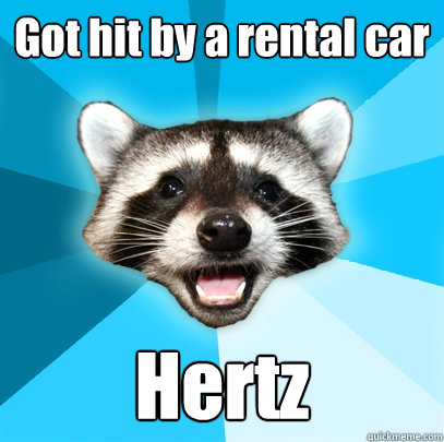 Got hit by a rental car Hertz  Lame Pun Coon