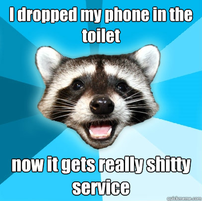 I dropped my phone in the toilet now it gets really shitty service  Lame Pun Coon