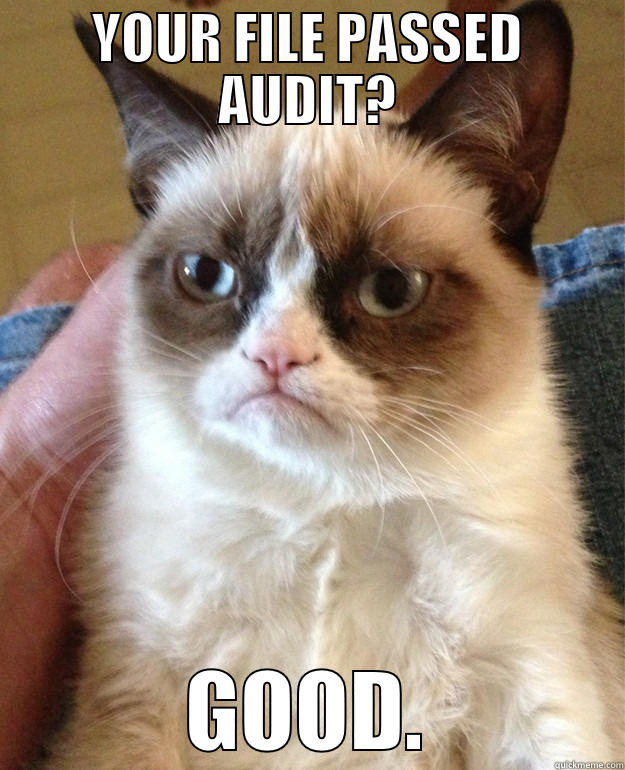 all the audits - YOUR FILE PASSED AUDIT? GOOD. Misc