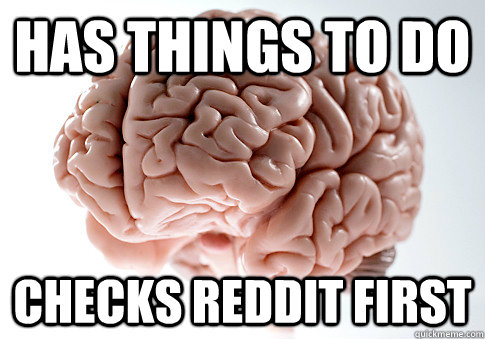 Has things to do Checks Reddit first  Scumbag Brain