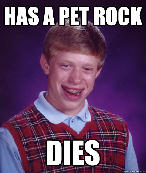 Has a Pet rock DIES  Bad Luck Brian