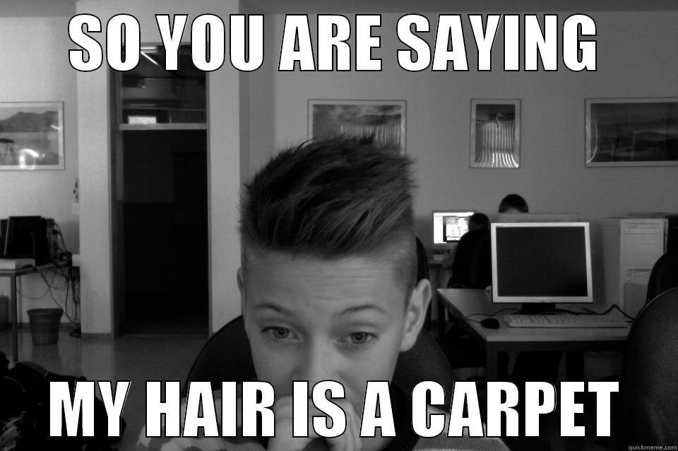 SO YOU ARE SAYING MY HAIR IS A CARPET Misc