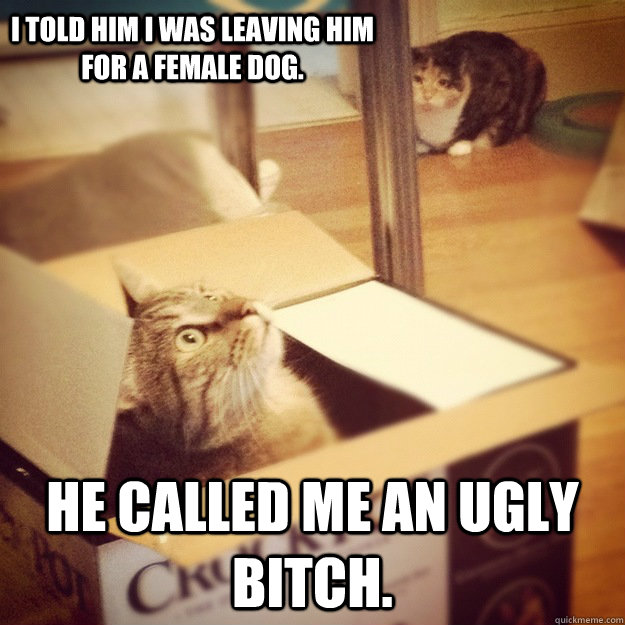 I told him I was leaving him for a female dog. He called me an ugly bitch.  Cats wife