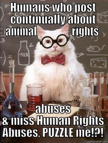 Human rights ! - HUMANS WHO POST CONTINUALLY ABOUT ANIMAL                  RIGHTS  ABUSES & MISS HUMAN RIGHTS ABUSES, PUZZLE ME!?! Chemistry Cat