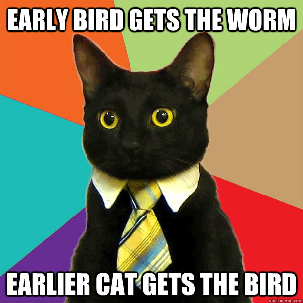 early bird gets the worm earlier cat gets the bird  Business Cat