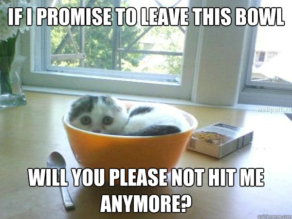 If I promise to leave this bowl Will you please not hit me anymore?  Bowl Cat