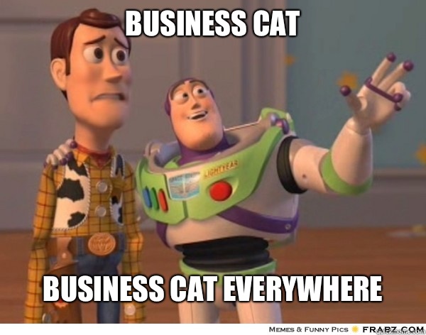 Business Cat Business Cat Everywhere   Buzzlightyear