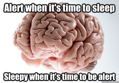 Alert when it's time to sleep Sleepy when it's time to be alert   Scumbag Brain