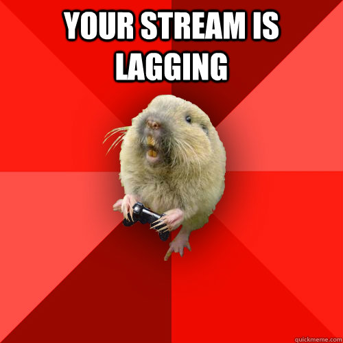 your stream is lagging  Gaming Gopher