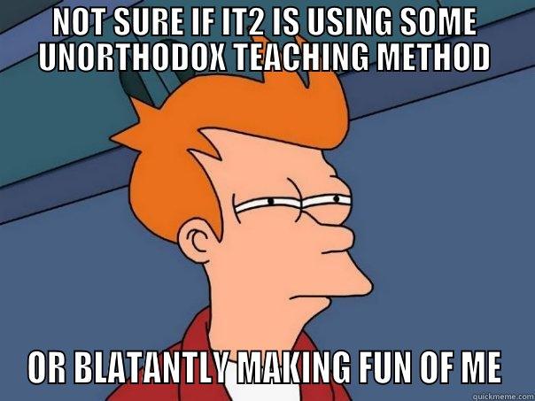 NOT SURE IF IT2 IS USING SOME UNORTHODOX TEACHING METHOD OR BLATANTLY MAKING FUN OF ME Futurama Fry