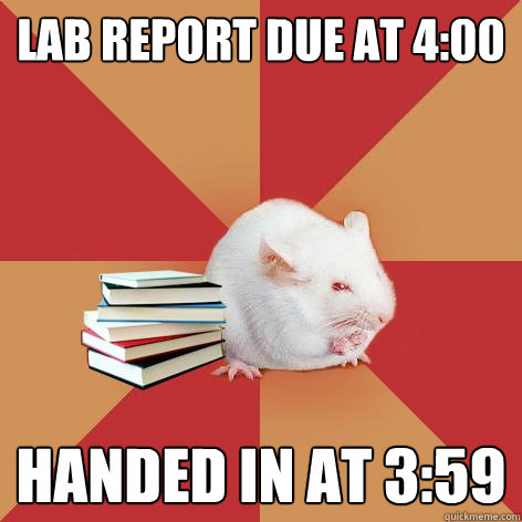 Lab report due at 4:00 Handed in at 3:59  Science Major Mouse