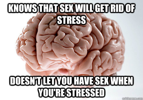 Knows that sex will get rid of stress doesn't let you have sex when you're stressed  Scumbag Brain