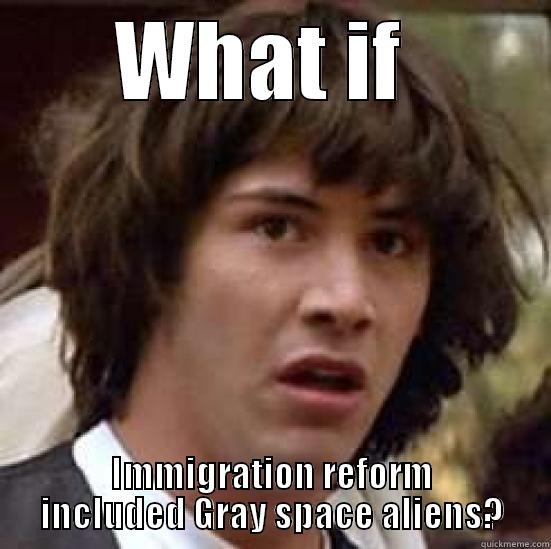 WHAT IF  IMMIGRATION REFORM INCLUDED GRAY SPACE ALIENS? conspiracy keanu