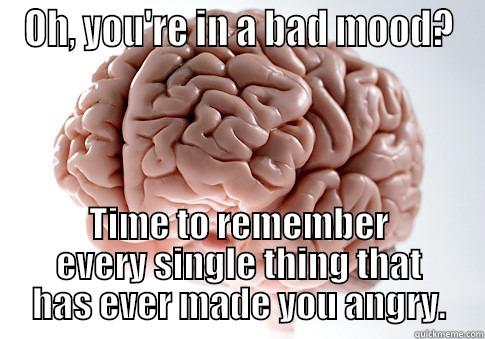 OH, YOU'RE IN A BAD MOOD? TIME TO REMEMBER EVERY SINGLE THING THAT HAS EVER MADE YOU ANGRY. Scumbag Brain