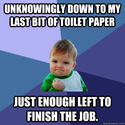 Unknowingly down to my last bit of toilet paper Just enough left to finish the job.  Success Kid