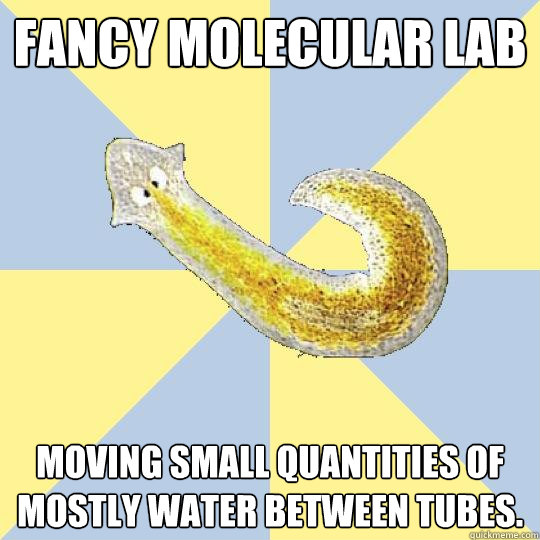 Fancy molecular lab moving small quantities of mostly water between tubes.  Bio Major Planarian