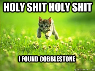 HOLY SHIT HOLY SHIT I FOUND COBBLESTONE  Excited Kitten