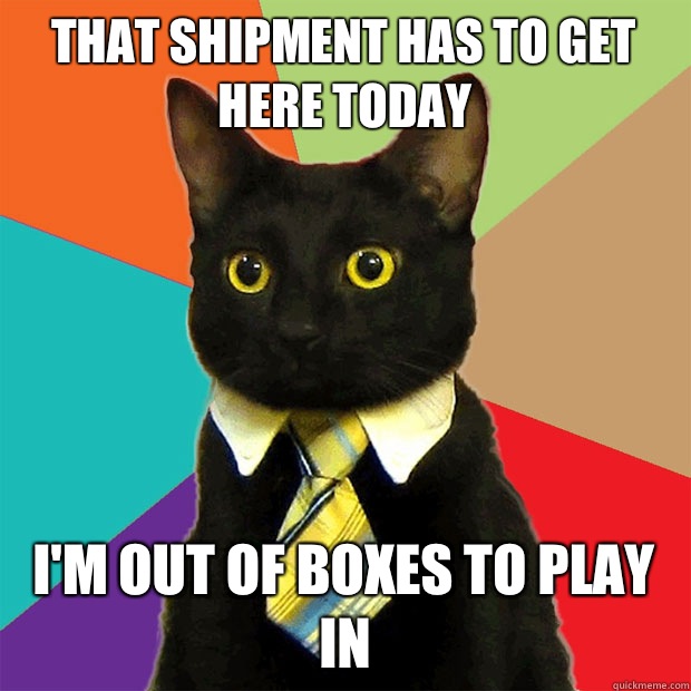 That shipment has to get here today I'm out of boxes to play in  Business Cat