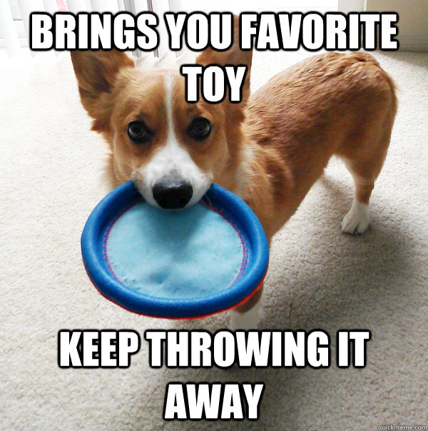 Brings you favorite toy Keep throwing it away - Brings you favorite toy Keep throwing it away  Scumbag Dog Owner