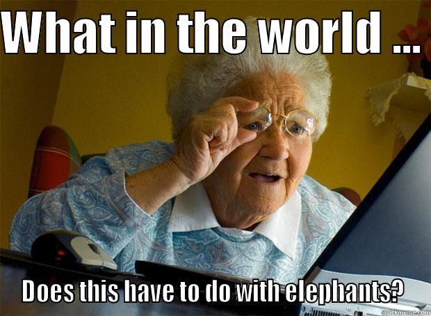 WHAT IN THE WORLD ...  DOES THIS HAVE TO DO WITH ELEPHANTS? Grandma finds the Internet