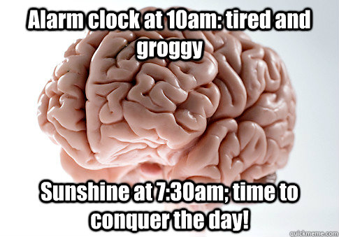 Alarm clock at 10am: tired and groggy Sunshine at 7:30am; time to conquer the day!  Scumbag Brain