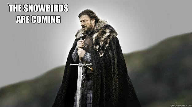  The snowbirds are coming  Ned stark winter is coming