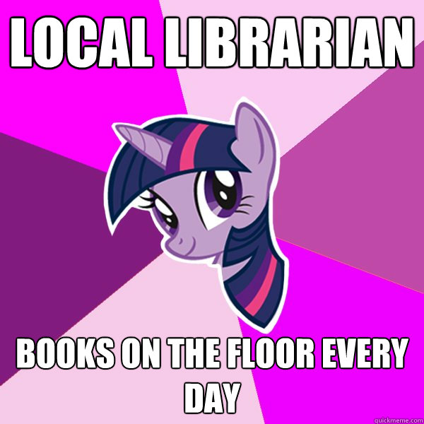 local librarian Books on the floor every day  Twilight Sparkle