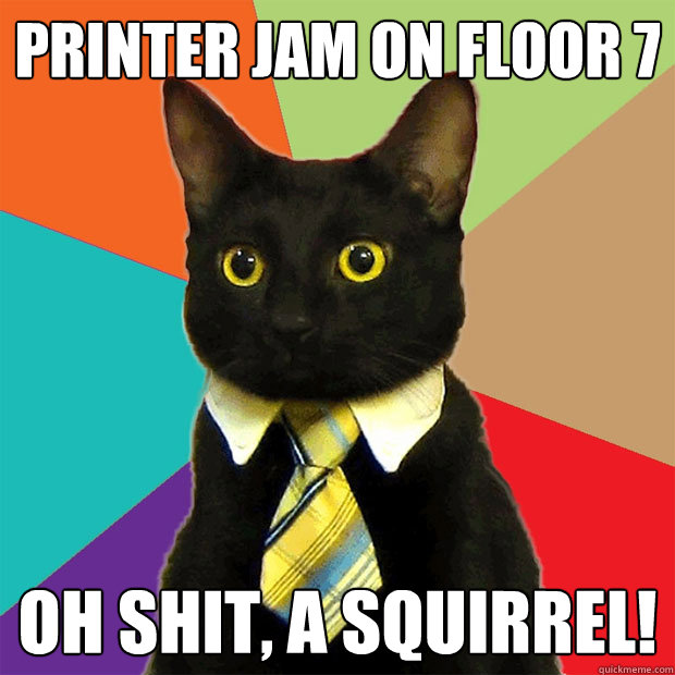 Printer jam on floor 7 Oh shit, a squirrel!   Business Cat