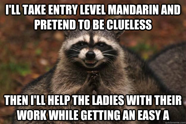 I'll take entry level mandarin and pretend to be clueless then i'll help the ladies with their work while getting an easy a  Evil Plotting Raccoon