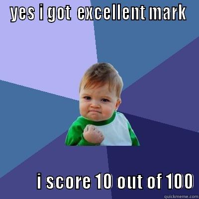 YES I GOT  EXCELLENT MARK                             I SCORE 10 OUT OF 100 Success Kid