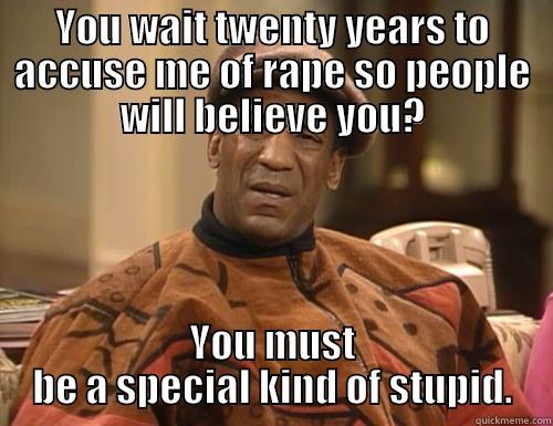 YOU WAIT TWENTY YEARS TO ACCUSE ME OF RAPE SO PEOPLE WILL BELIEVE YOU? YOU MUST BE A SPECIAL KIND OF STUPID. Misc