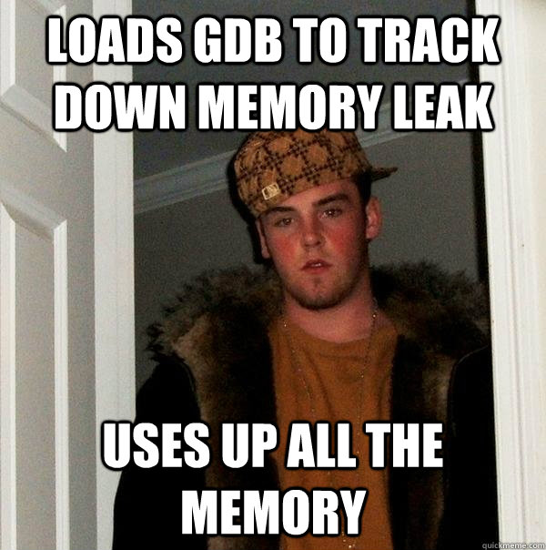 Loads GDB to track down memory leak Uses up all the memory  Scumbag Steve