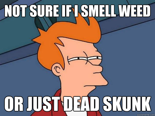 not sure if i smell weed or just dead skunk  Futurama Fry